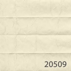 20509