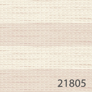 21805