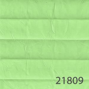 21809