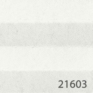 21603